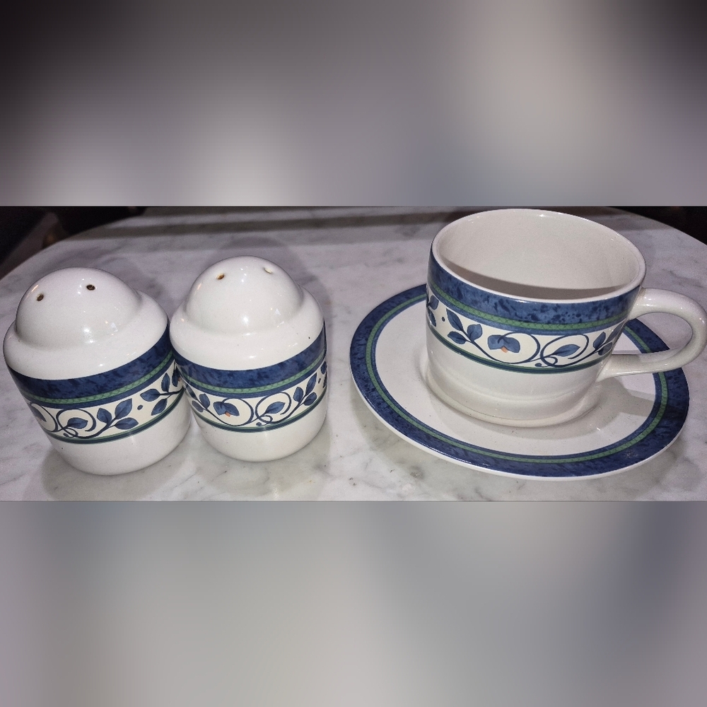 Pfaltzgraff Orleans Collection, 1 Tea/Coffee Cup ,1 Saucer Salt & Pepper Shakers